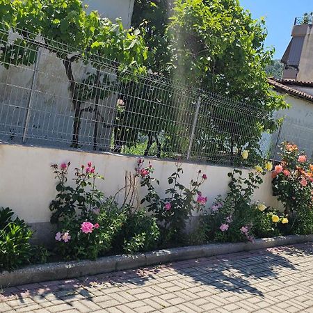 Aliaj Guest House 베라트 외부 사진